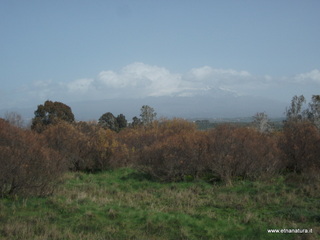 lle del Simeto-24-02-2013 10-54-08